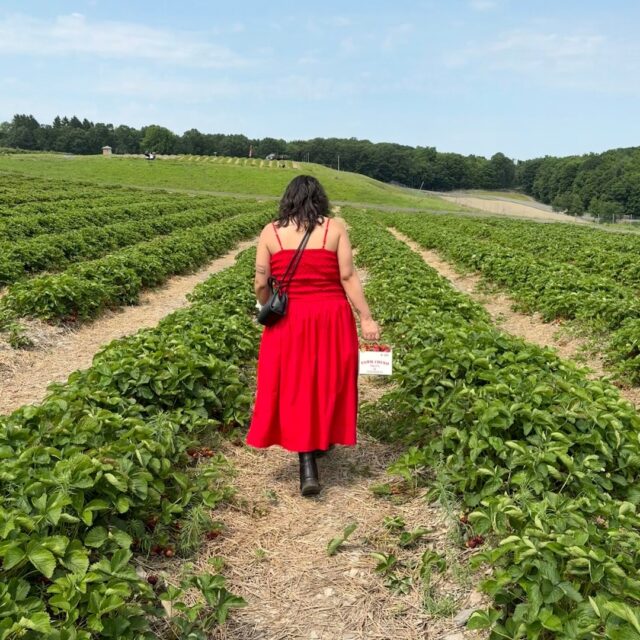 最不需要的夏季女性夏季禮服 – 最多需要50％