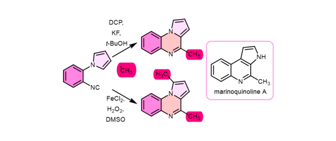 研究人員揭示的合成marinoquinoline A