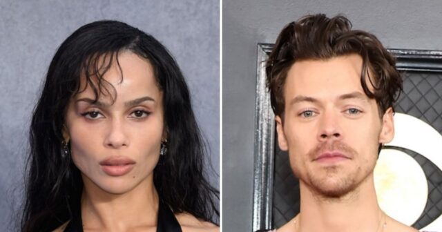 ZoëKravitz和Harry Styles在羅馬的手臂上行走 ZoëKravitz和Harry Styles在羅馬的手臂上行走