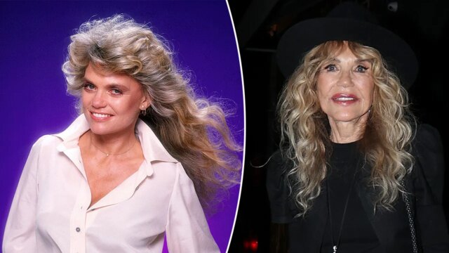 特勤局正在白宮巡迴演出謊言中的Dyan Cannon Blocks工作