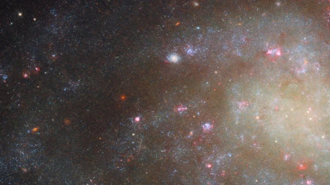 樞紐發現Galacas，幾乎看不到普通的眼睛。