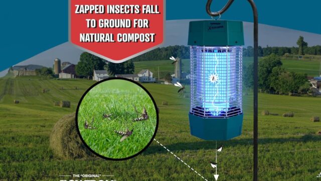 出售的Flowtron Bug Zapper
