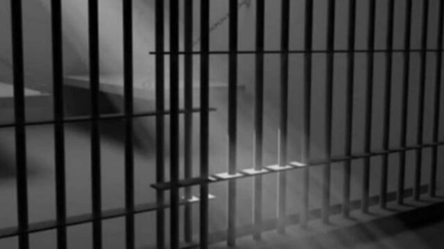 人類發現謀殺未成年強奸的生命術語 人類發現謀殺未成年強奸的生命術語