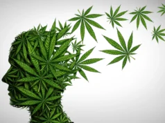 吸食大麻和煙草可能會造成乾擾。大腦的“幸福分子”