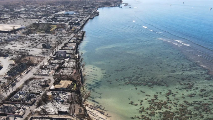 醉酒下降的大火在死亡中增加了67%。大多數不算 醉酒下降的大火在死亡中增加了67%。大多數不算