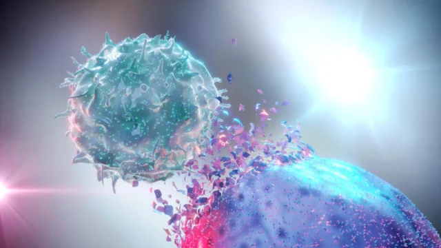 natural-killer-cell-destroying-cancer-cell.webp.webp