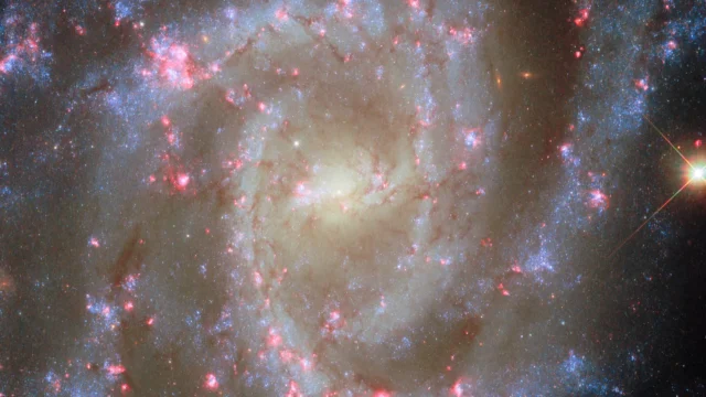 美麗的星系在新的哈勃圖像中盛開，上面有粉紅色的煙囪。