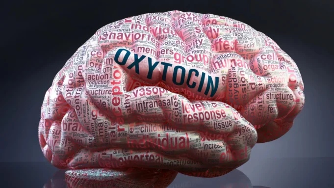 友誼後面的驚喜大腦化學反應。 友誼後面的驚喜大腦化學反應。