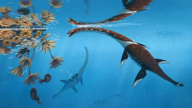 plesionectes-longicollum-life-reconstruction.webp.webp