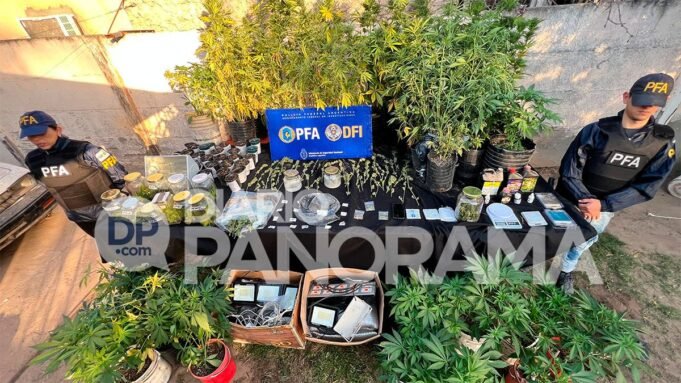樂隊中的毒品走私:種植大麻並在家出售 樂隊中的毒品走私:種植大麻並在家出售