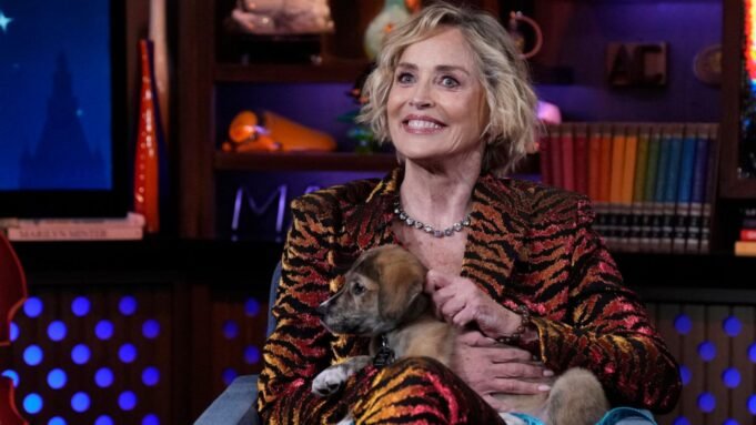 莎朗·斯通(Sharon Stone)確認他曾經和說唱歌手內利(Nelly)約會 莎朗·斯通(Sharon Stone)確認他曾經和說唱歌手內利(Nelly)約會