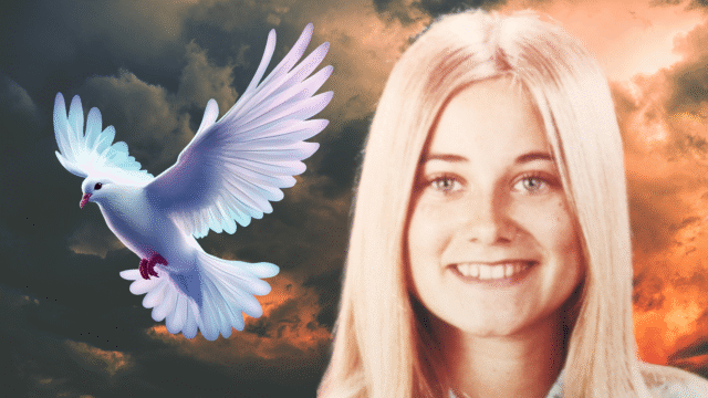 向大衛·凱奇姆(David Ketchum)向彭斯·莫琳·麥考密克(Maureen McCormick)致敬 向大衛·凱奇姆(David Ketchum)向彭斯·莫琳·麥考密克(Maureen McCormick)致敬