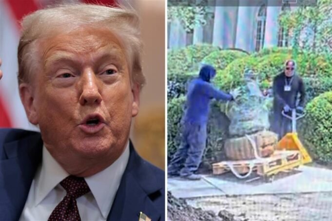 唐納德·特朗普（Donald Trump）在玫瑰園（Rose Garden）的煙霧，尖叫著：“這是誰？”