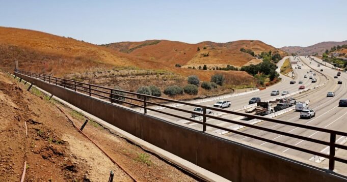 Agoura Hills野生動植物過渡項目準備部分道路閉合 Agoura Hills野生動植物過渡項目準備部分道路閉合