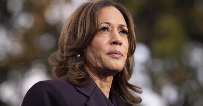 “老白人”還是卡瑪拉·哈里斯（Kamala Harris）？誰應該從Dems回來？