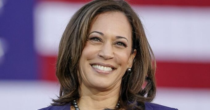 專欄:卡馬拉·哈里斯(Kamala Harris)不會治愈民主黨是什麼 專欄:卡馬拉·哈里斯(Kamala Harris)不會治愈民主黨是什麼