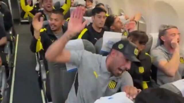 vuelo-de-penarol-2082822.jpg