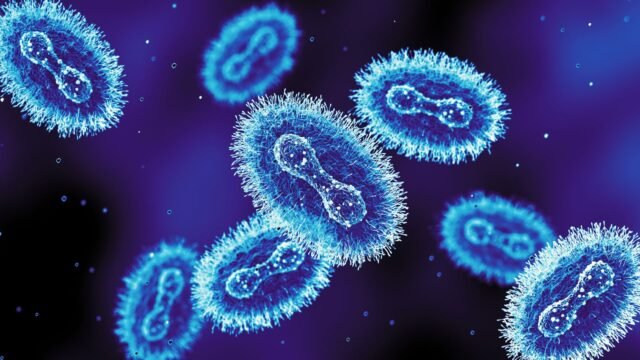 skynews-mpox-virus-uk_7064009.jpg