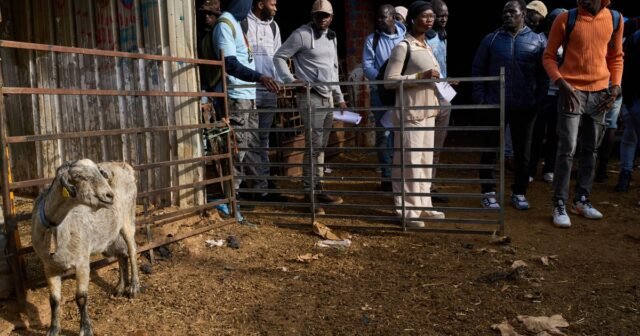 urnpublicidap.orgce0419d5dcd592f3a28b788aae0028e9Spain_Migrant_Shepherds_16867.jpg