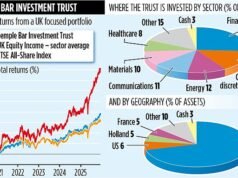 TEMPLE BAR 投資信託基金:老闆們表示,還會有更多的事情發生