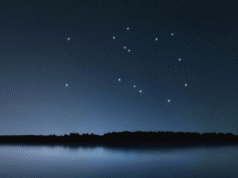 觀看著名的帶翼飛馬飛過秋天的夜空。