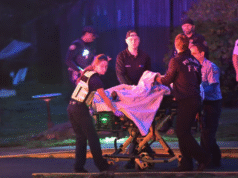 Paulhurst-Gilbert 家中發生槍擊事件,造成 1 人死亡、2 人受傷