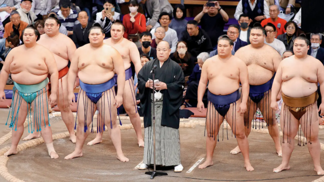 Sumo-man-1763171137363_d.png