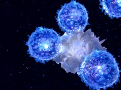 神經科學家發現免疫細胞可以延緩衰老