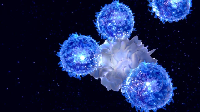 dendritic-cell-presenting-antigen-to-t-cells-immune-aging.webp.webp