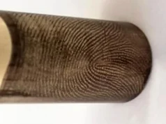 科學家通過從發射的子彈中恢復指紋來實現法醫學的“聖杯”