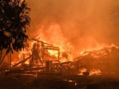 由於人類造成的氣候變化,世界各地的野火變得更加嚴重。