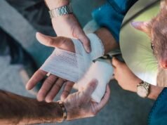 被老鼠咬傷後該怎麼辦:急救、破傷風和感染預防寵物新聞