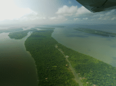 巴西“驚訝”英國不會投資其幫助設計的新雨林基金科學、氣候和技術新聞