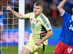 勒斯坦 0 – 1 威爾士