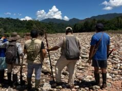 秘魯土著護林員與亞馬遜古柯種植者作戰:NPR