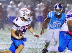 加菲貓交出他的第一次失敗