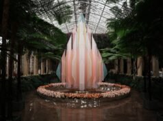 我用索尼 a7 V 拍攝了 1000 張照片,這是攝影師的夢想