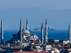 土耳其,聖誕節和新年期間策劃的襲擊:115 人被捕