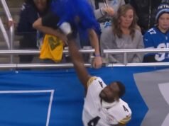 鋼人隊球星被抓到對獅子隊球迷揮舞後,DK 梅特卡夫被禁賽兩場