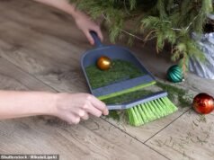 如果一棵“不倒下”的聖誕樹已經掉落了針,我可以獲得退款嗎?消費者律師 DEAN DUNHAM 回應