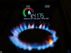 由於人們擔心今年冬天許多家庭將沒有暖氣,一款新型智能電錶為數千戶家庭提供了喘息之機。