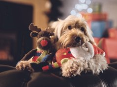 Pets At Home 任命前 Waitrose 老闆 James Bailey 為其新任領頭羊