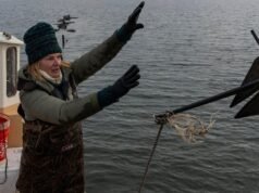 從籃球到牡蠣:WNBA 球星意想不到的第二幕