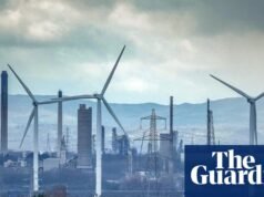 2025 年是企業擺脫淨零排放的一年嗎? |能源行業