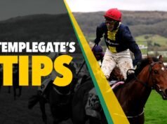 賽馬技巧:“馬場喜歡這條賽道上的獲勝者”