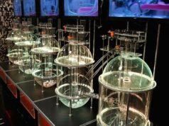 Tómbola Santiagueña:2025 年 12 月 24 日星期三的數據