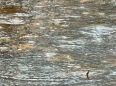 實時更新:隨著風暴向南移動,PNW 繼續面臨洪水和山體滑坡的風險