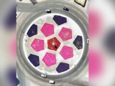 阿布扎比……Flowers 的藝術畫作