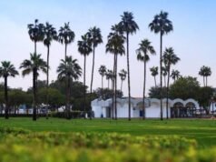 迪拜..海灘、公園和開放市場正在重新開放