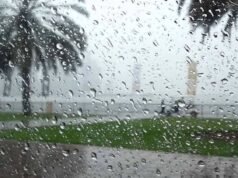 阿聯酋.. 預計明天週日有雨